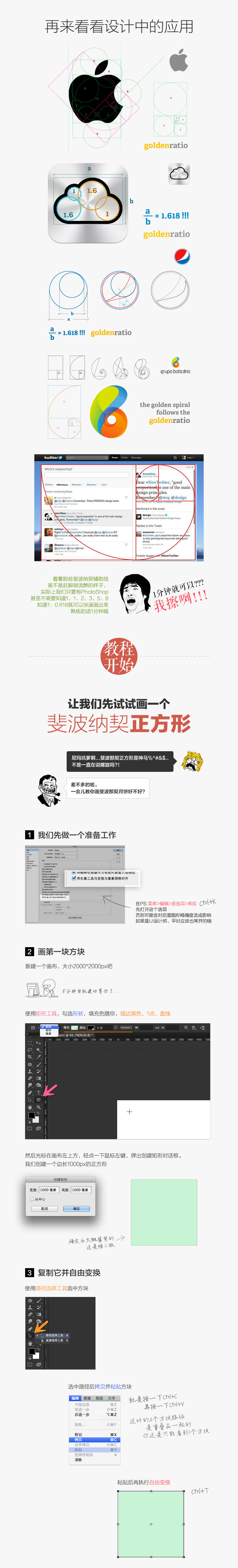 现实中都有哪些斐波纳契螺旋的应用