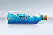 PS合成在瓶子里游泳的鲨鱼