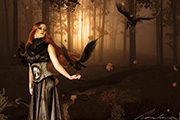 Photoshop合成昏暗森林里的女巫/黑暗森林