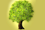 Photoshop鼠绘梦幻的绿色卡通树/鼠绘树木