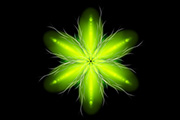 Photoshop制作奇幻的绿色荧光花朵/抽象花朵
