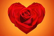 Photoshop制作漂亮的情人节心形玫瑰
