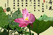 PS鼠绘<font color="red">水彩</font>风格荷花图