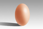 Photoshop如何打造一枚十分逼真的鸡蛋