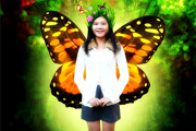 Photoshop打造漂亮的绿色蝴蝶仙子