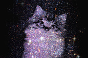PS合成星空中的萌猫