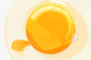 Photoshop绘制一个打开流出的鸡蛋