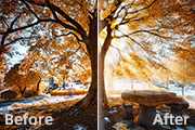 利用<font color="red">滤镜</font>及调色工具快速给风景图片增加透射光