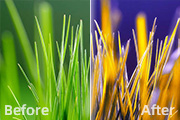Photoshop调出<font color="red">风景</font><font color="red">照片</font>绚丽的橙紫色