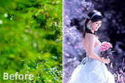 Photoshop打造梦幻的蓝紫色外景婚片