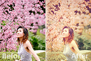 Photoshop调出春季外景图片柔美的粉红色