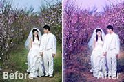 Photoshop调出桃林婚片艳丽的紫红色