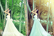 Photoshop打造柔和的黄褐色竹林<font color="red">婚</font><font color="red">片</font>