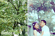 Photoshop打造古典青褐色树林婚片