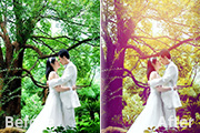 Photoshop为树林婚片增加柔美的黄紫色