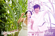 Photoshop打造浪漫的蓝紫色外景<font color="red">婚</font>片