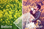 Photoshop打造漂亮的橙紫色油菜花婚片