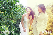 Photoshop给树林婚片加上柔和的淡黄色