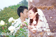 Photoshop给玫瑰园情侣加上蓝紫中性色