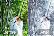 Photoshop给竹林婚片加上梦幻的淡调青蓝色