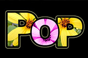 Photoshop制作漂亮鲜花文字