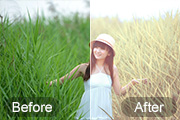 Photoshop给芦苇中的美女加上唯美的韩系淡黄色