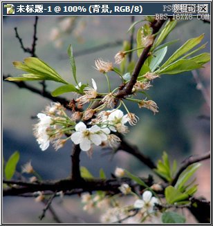 5-11 关于图层面积与可视区域
