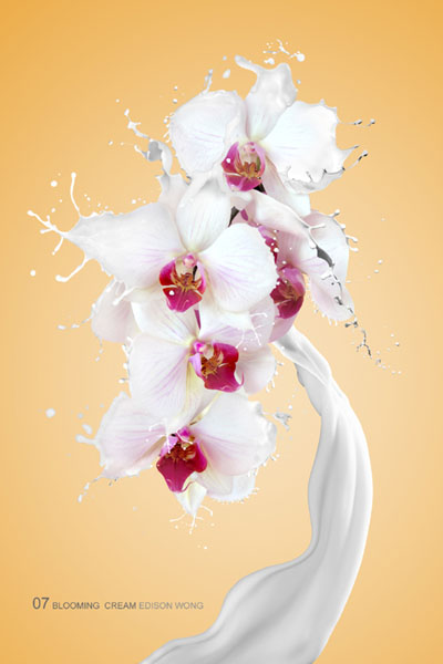 PS<font color="red">合成</font>动感的牛奶花朵