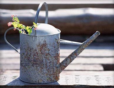 锈迹斑斑的洒水壶制作方法