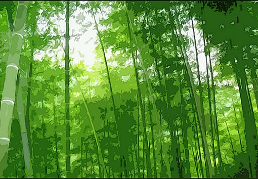 PS把图片转成矢量风格画